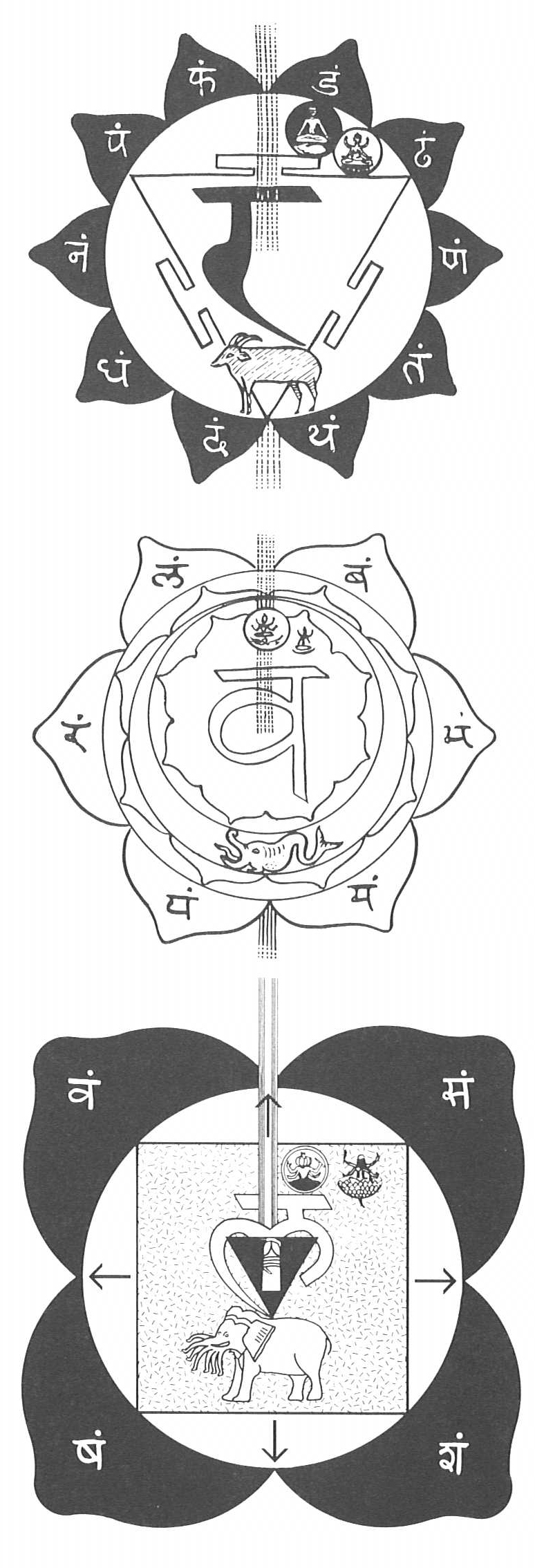 Figures 312, 313, 314. Chakra 1: Muladahara (bottom); Chakra 2: Svadisthana (center); Chakra 3: Manipura (top).