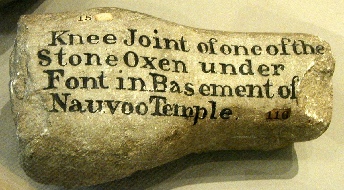 Knee joint of original stone oxen from Nauvoo Temple