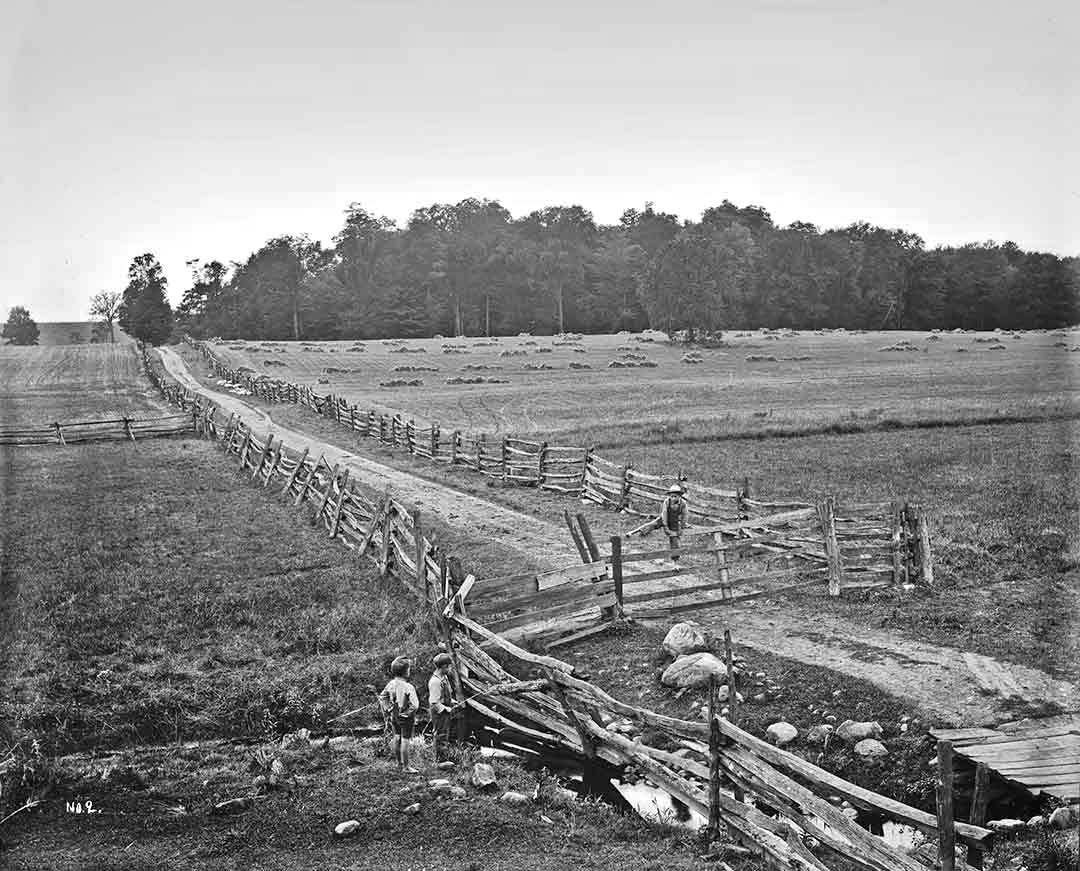 Smith Farm in 1907, with the Sacred Grove in the Background. Anderson Collection, Church History Library.