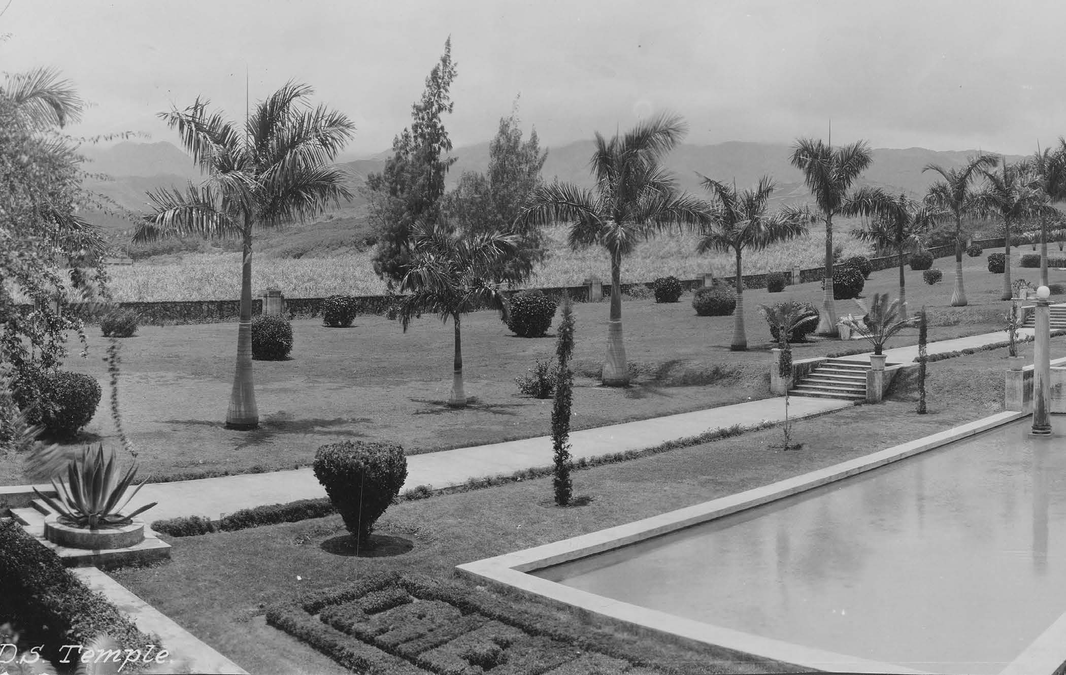 The architects worked out a brilliant design for the temple grounds, and the maturing gardens served to enhance the temple’s beauty. Courtesy of Church History Library.