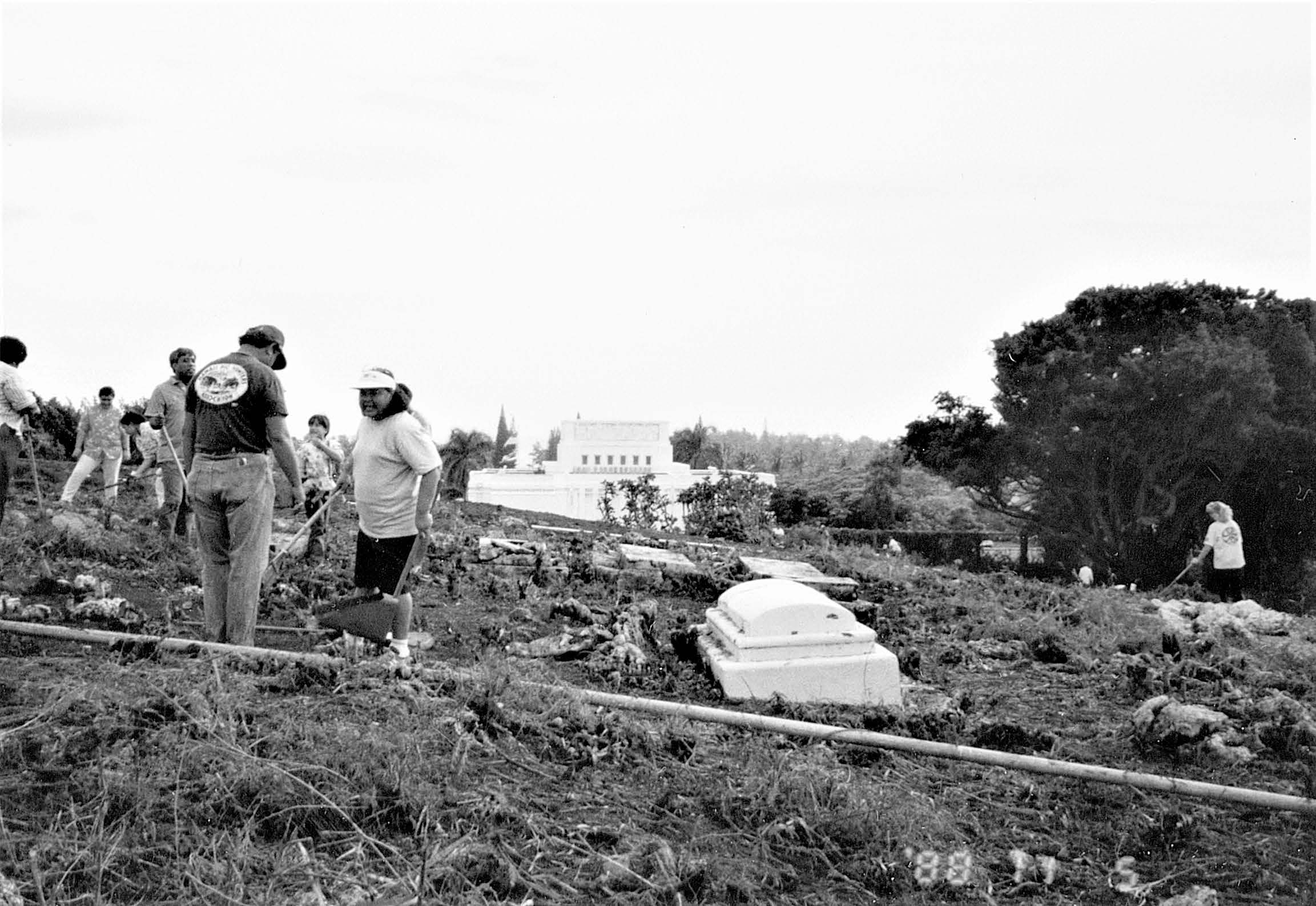 Efforts starting in 1987 to restore the long-overgrown area behind the temple (known as “Temple Hill”) included the restoration of the cemetery where a number of Lāʻie’s pioneers were buried. Courtesy of BYU–Hawaii Archives.