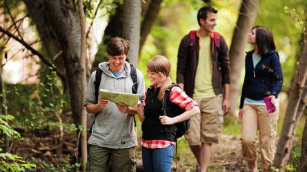 Two couples hiking in a forest