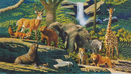 Various animals representing the creation