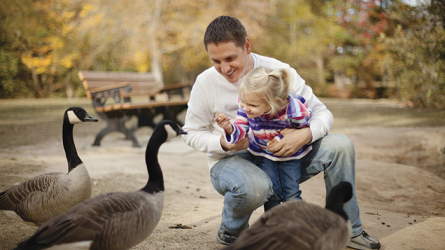 A man with his daughter feeding some geese
