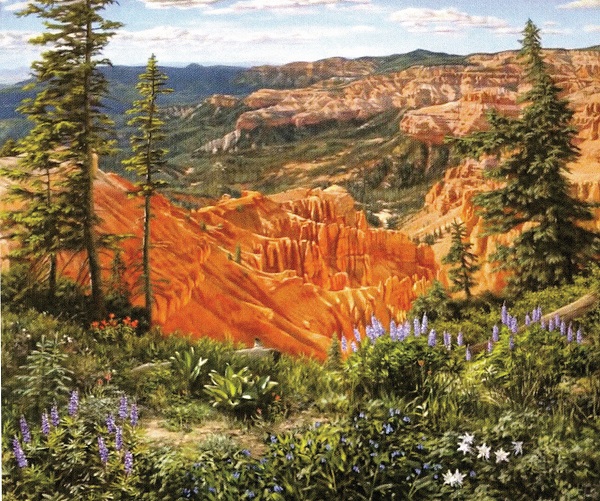 cedar city site