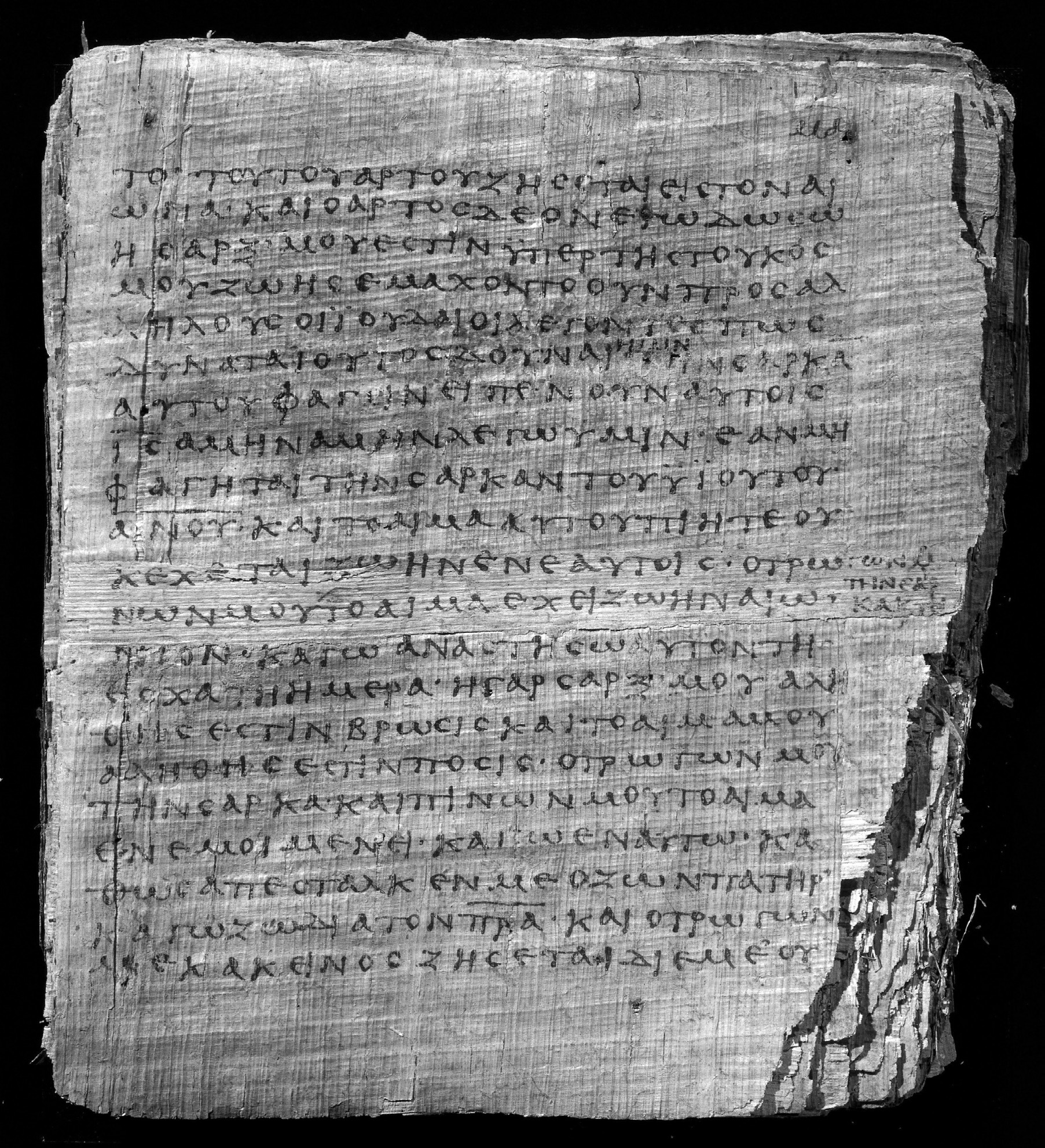 Image of the papyrus codex