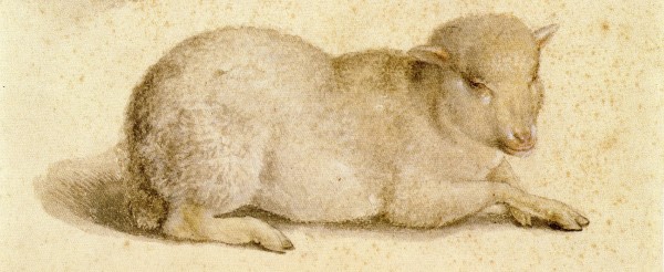 painting of a lamb