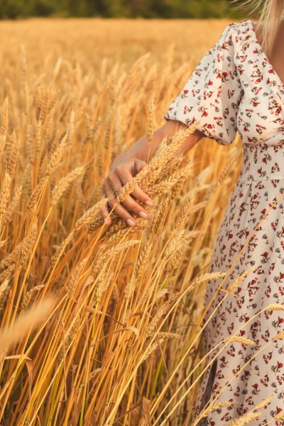 woman in a field of wheat