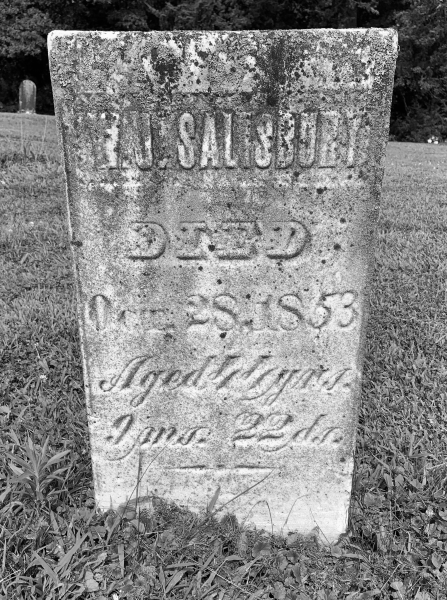 Wilkins Jenkins Salisbury's gravestone