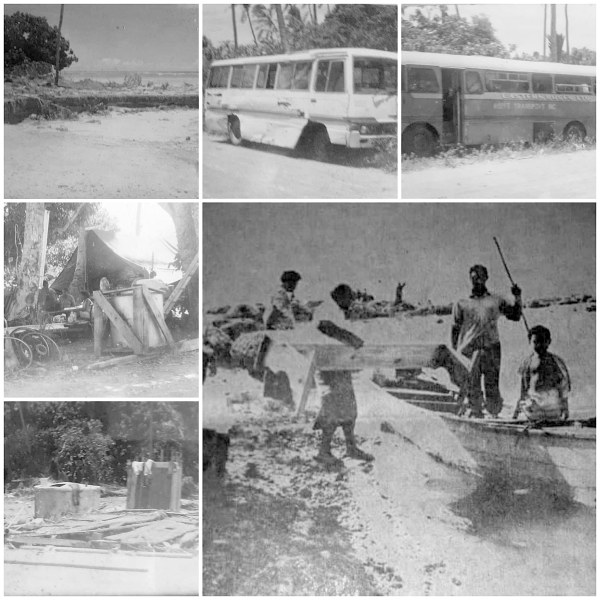 collage of photos