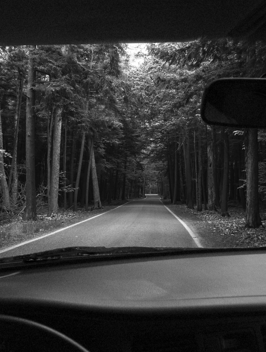 Forest Drive