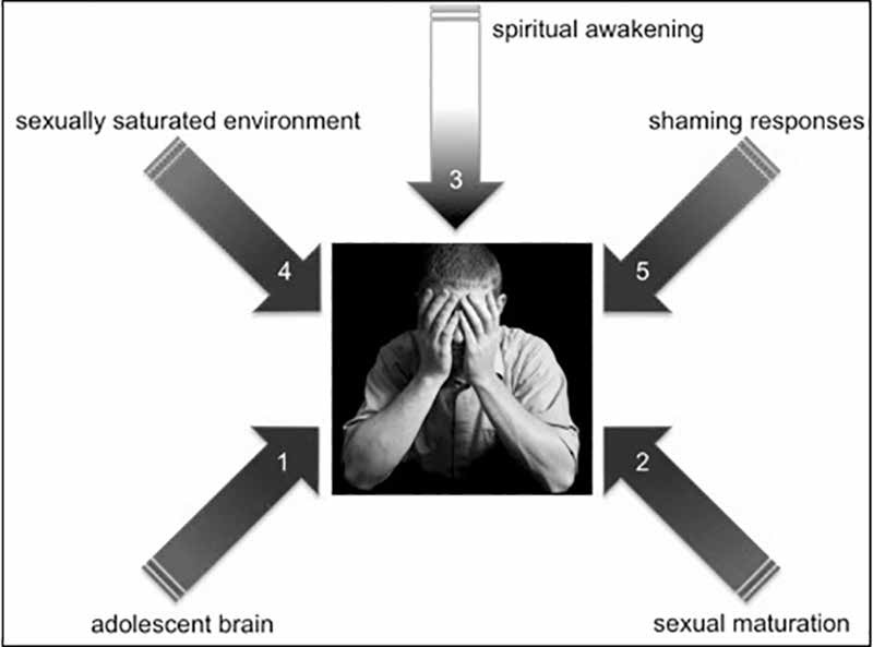 Figure 1: Pressure on Adolescents