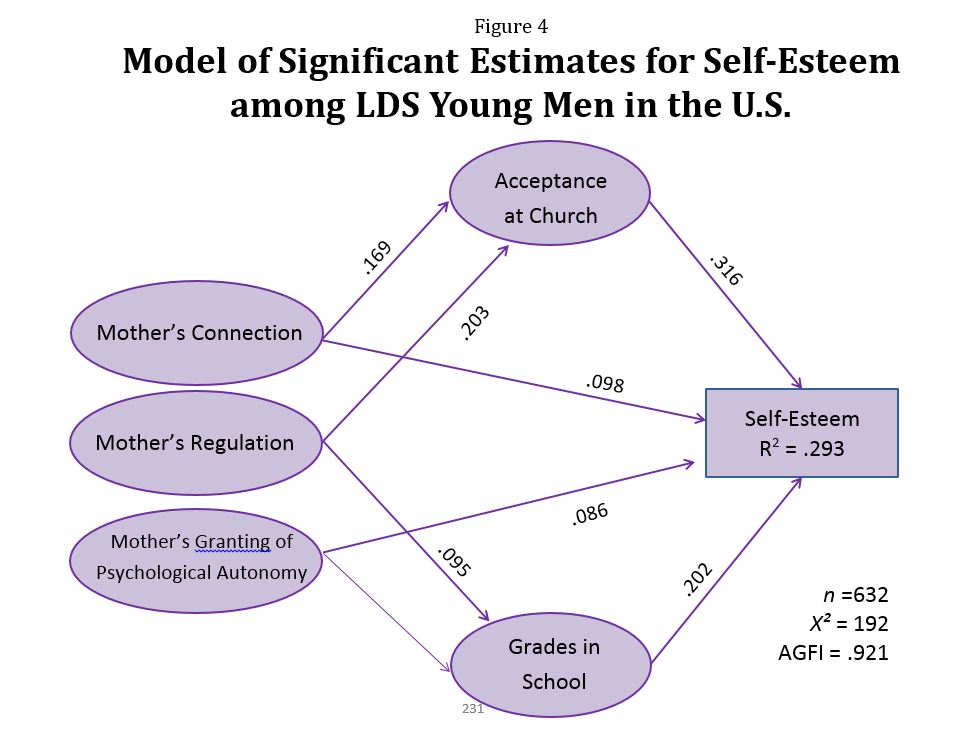 Estimates for Self-Esteem among LDS Young Men in the U.S.