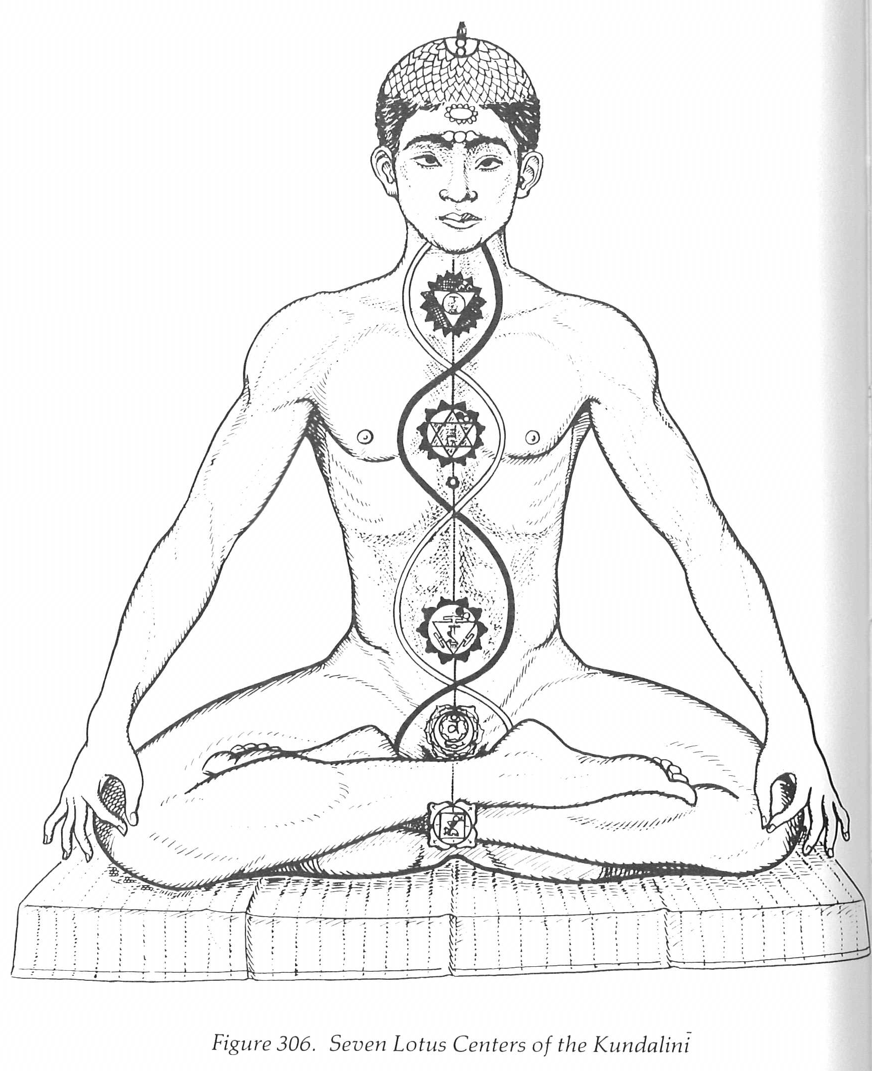 Figure 306. Seven Lotus Centers of the Kundalini