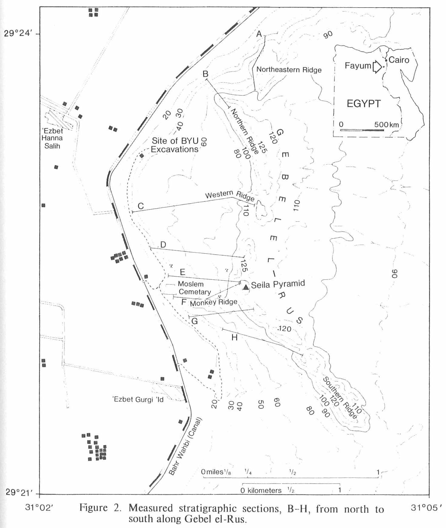 Measured Stratigraphic Sections