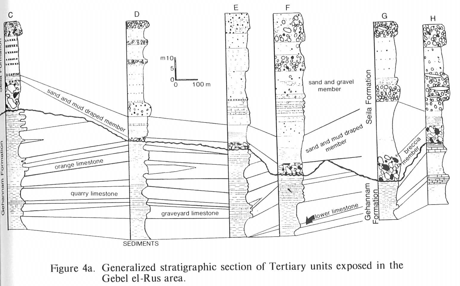 Tertiary Units Exposed in the Gebel el-Rus Area