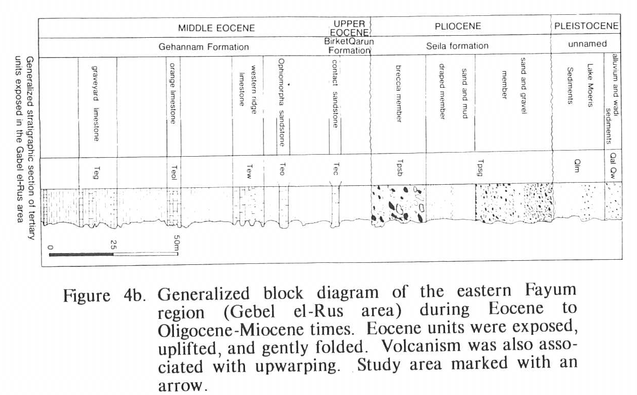 Block Diagram of the Eastern Fayum Region