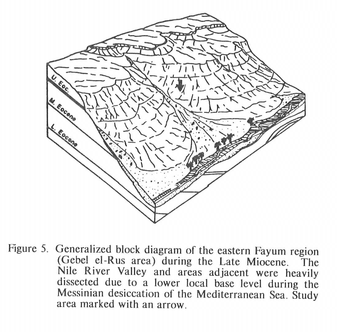 Block Diagram of the Eastern Fayum Region During the Late Miocene
