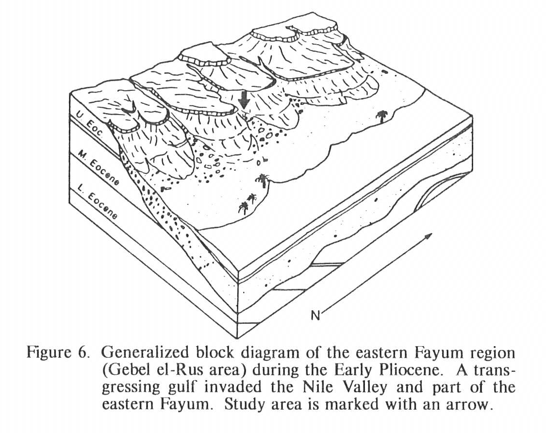 Eastern Fayum Region During the Early Pliocene
