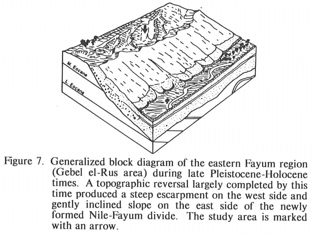 Eastern Fayum Region During the Late Pleistocene-Holocene