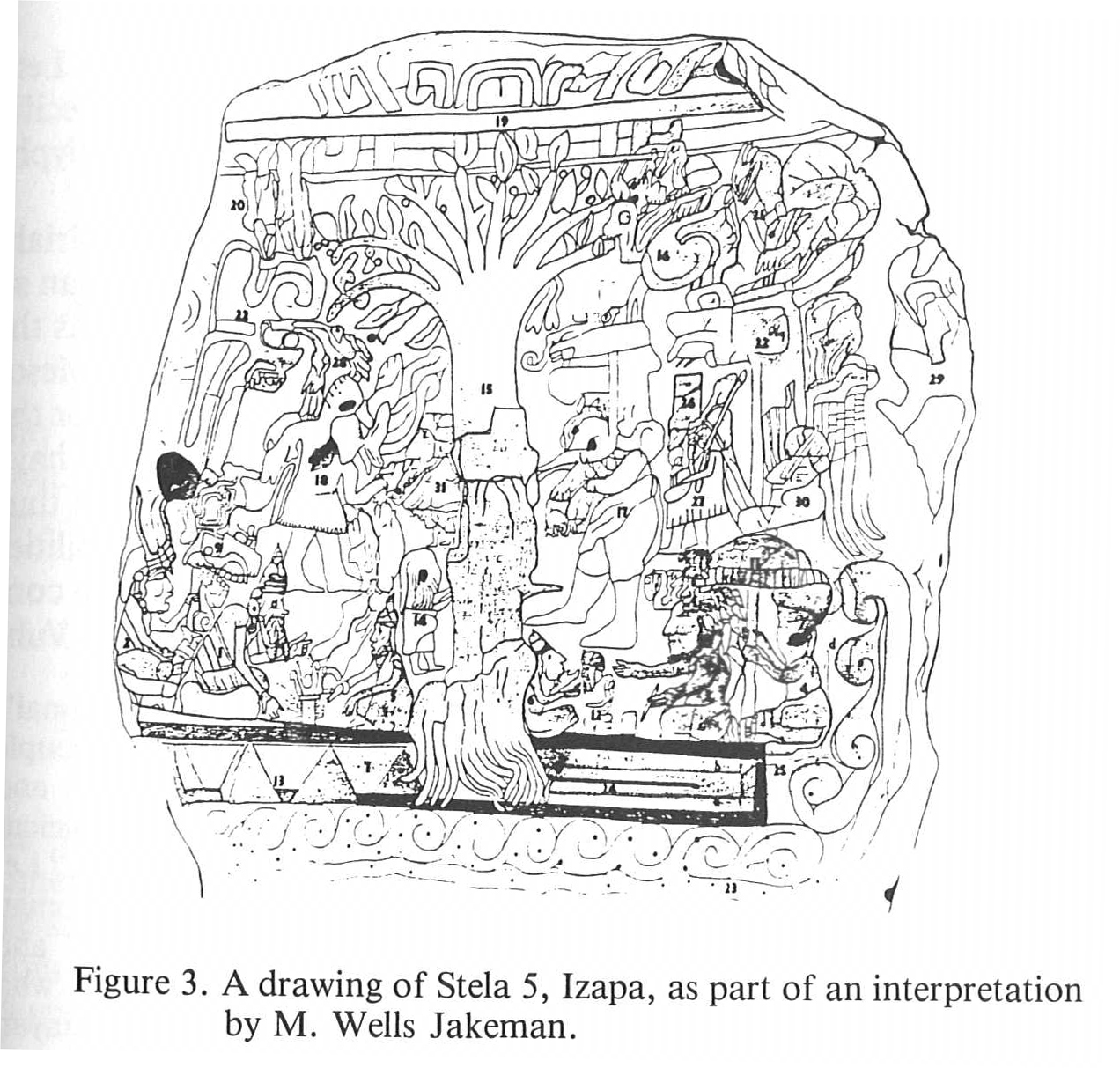 drawing of stela 5, Izapa