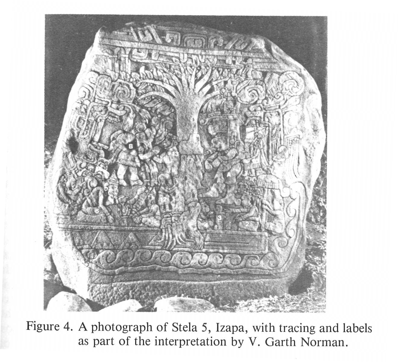 photograph of stela 5