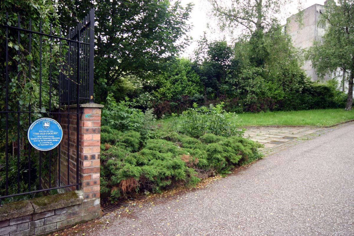 Metal bar and brick fence with road and plans