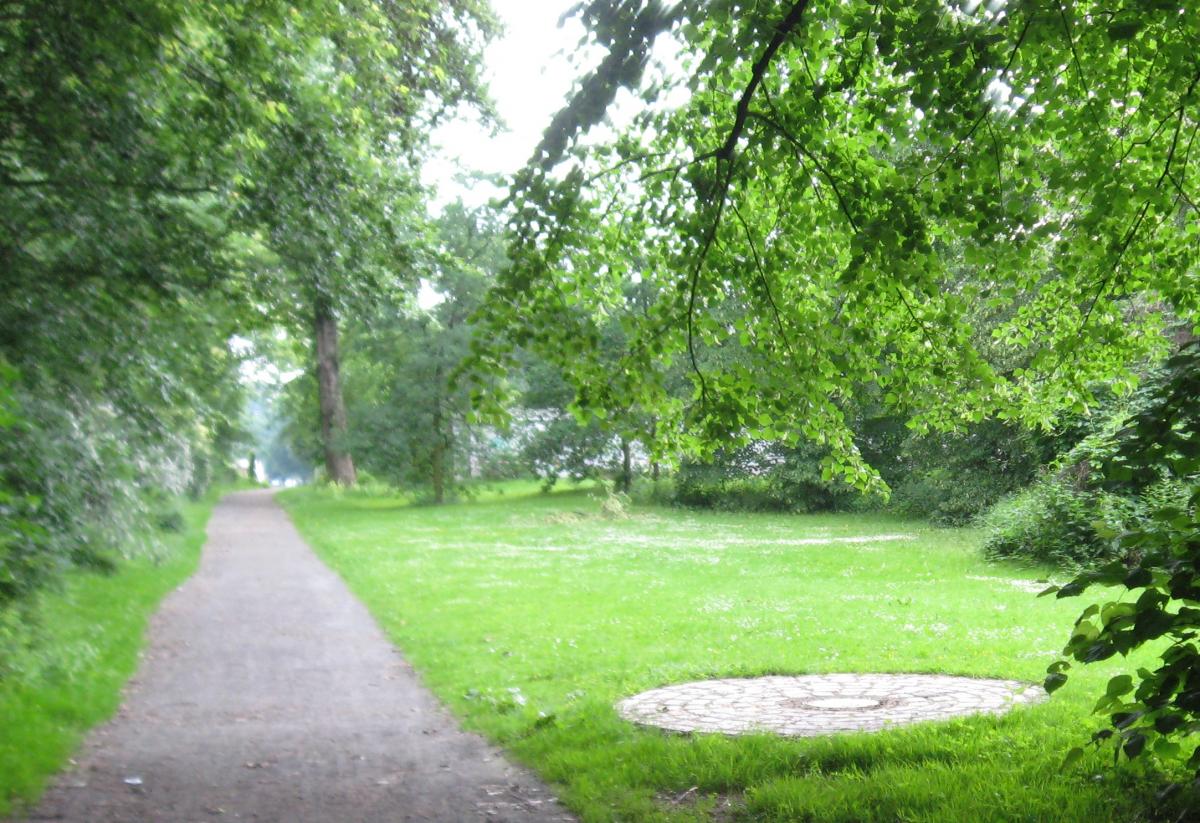 green grass open area with paved path, and trees on long side