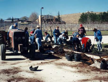Members were called on spur of the moment to come help plant the first shrubs on January 28.