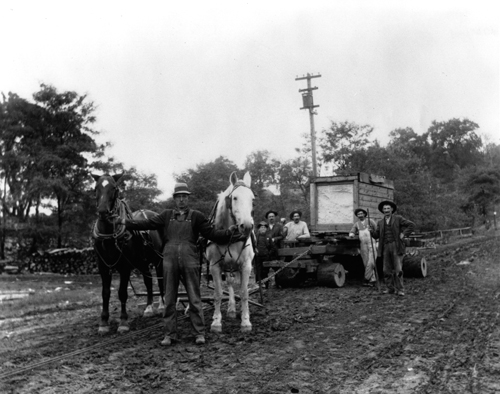 Wagon and Horses