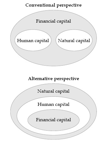 Relationships between types of capital