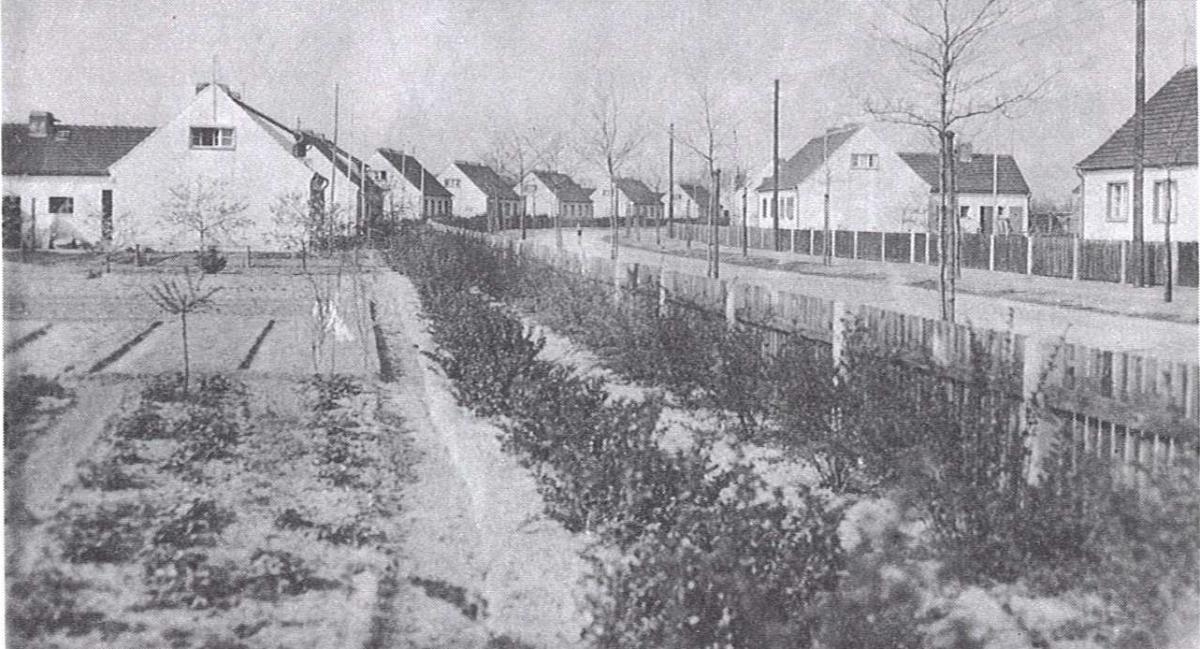 field and houses