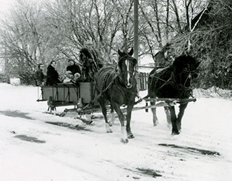 horse-drawn carriage