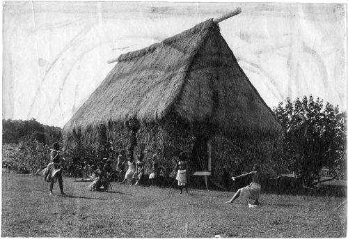 Native Fijian house