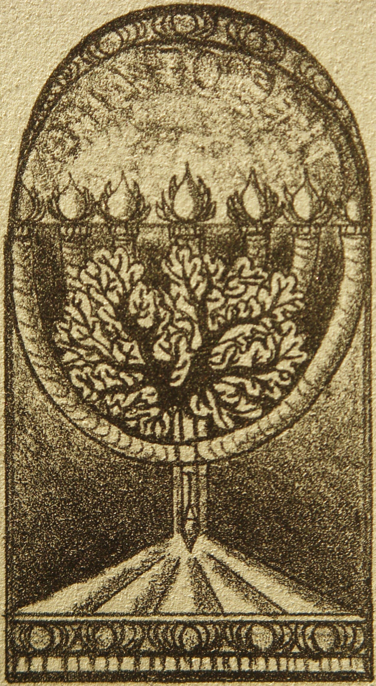 Lit menorah with tree of life