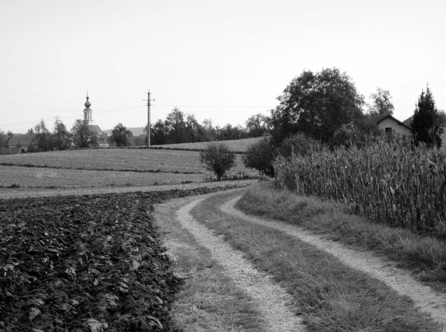 View of a field in Rottenbach