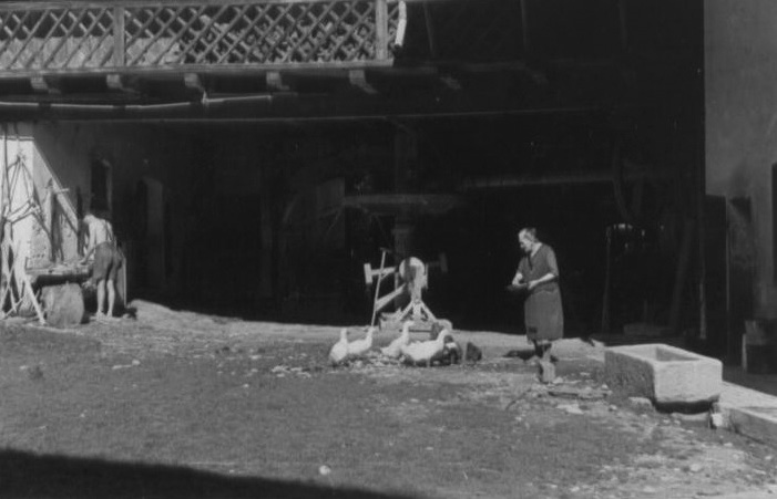 Bertha Koehler at work in the field