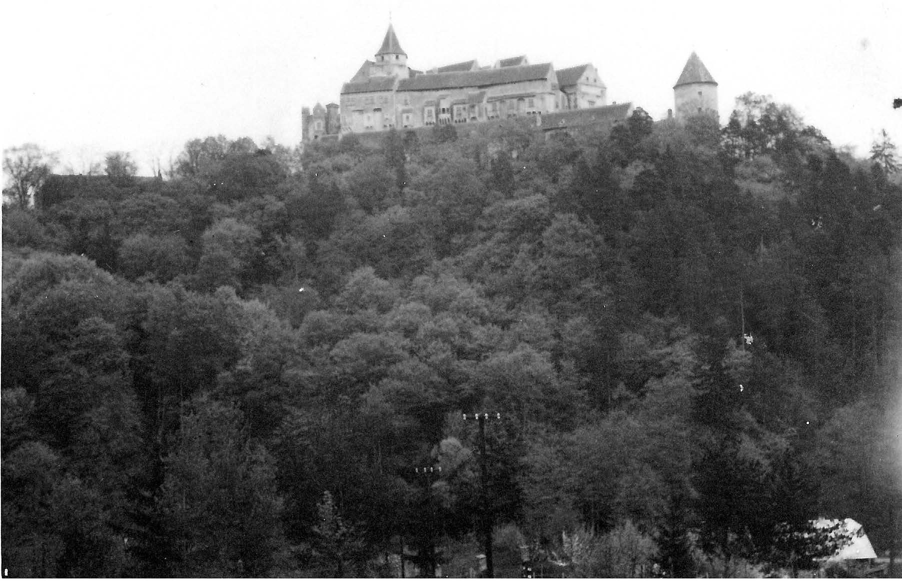 a church and trees