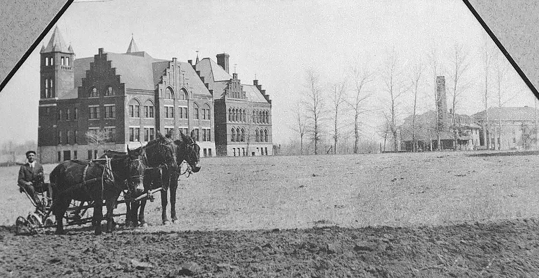 a large home with horses