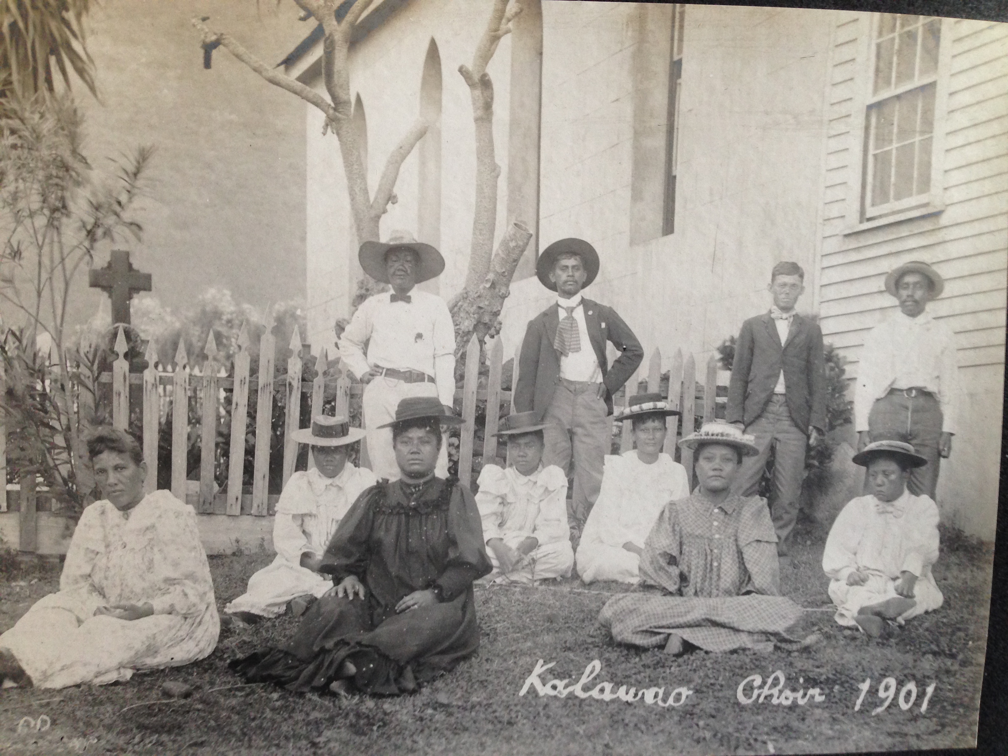 people sitting on the grass