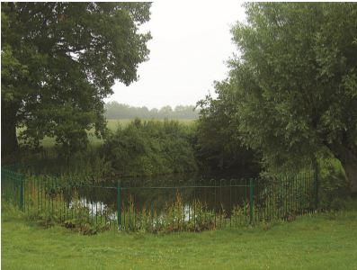 pond at hill farm
