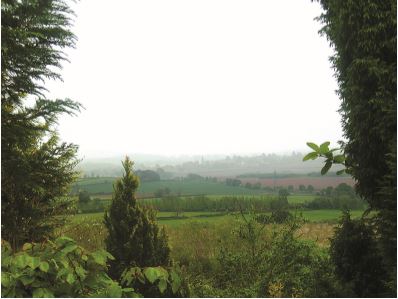 view from shucknall hill