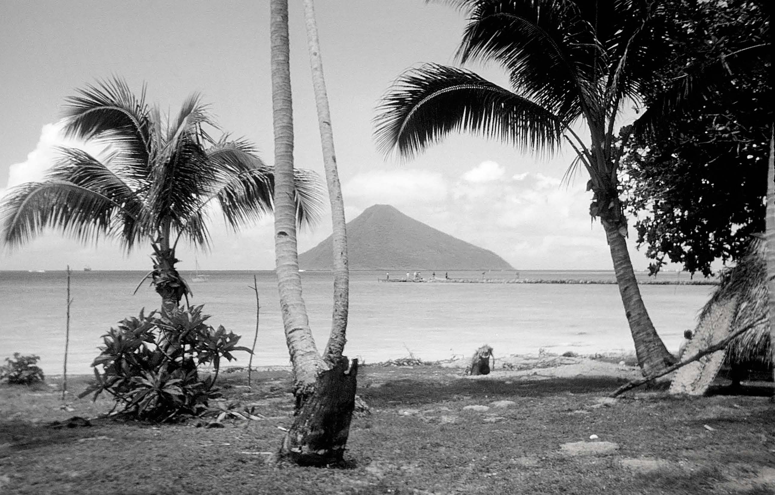 The island of Tafahi from Niuatoputapu. Courtesy of Don Milligan.