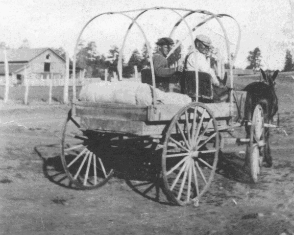 Mail cart.