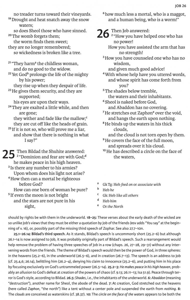 New Oxford Annotated Bible