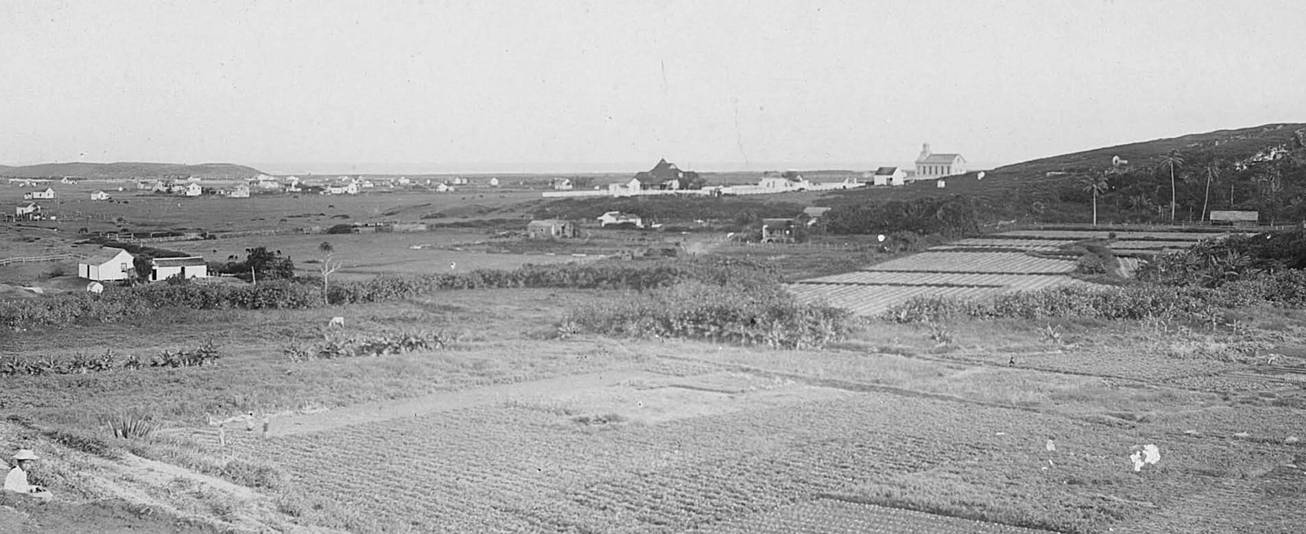 Village of Lāʻie circa 1898. The large building at center is the mission home, and the larger building to its right is the Lāʻie Chapel, named “I Hemolele.” The chapel's location would later become the site of the Laie Hawaii Temple. Courtesy of Church History Library.