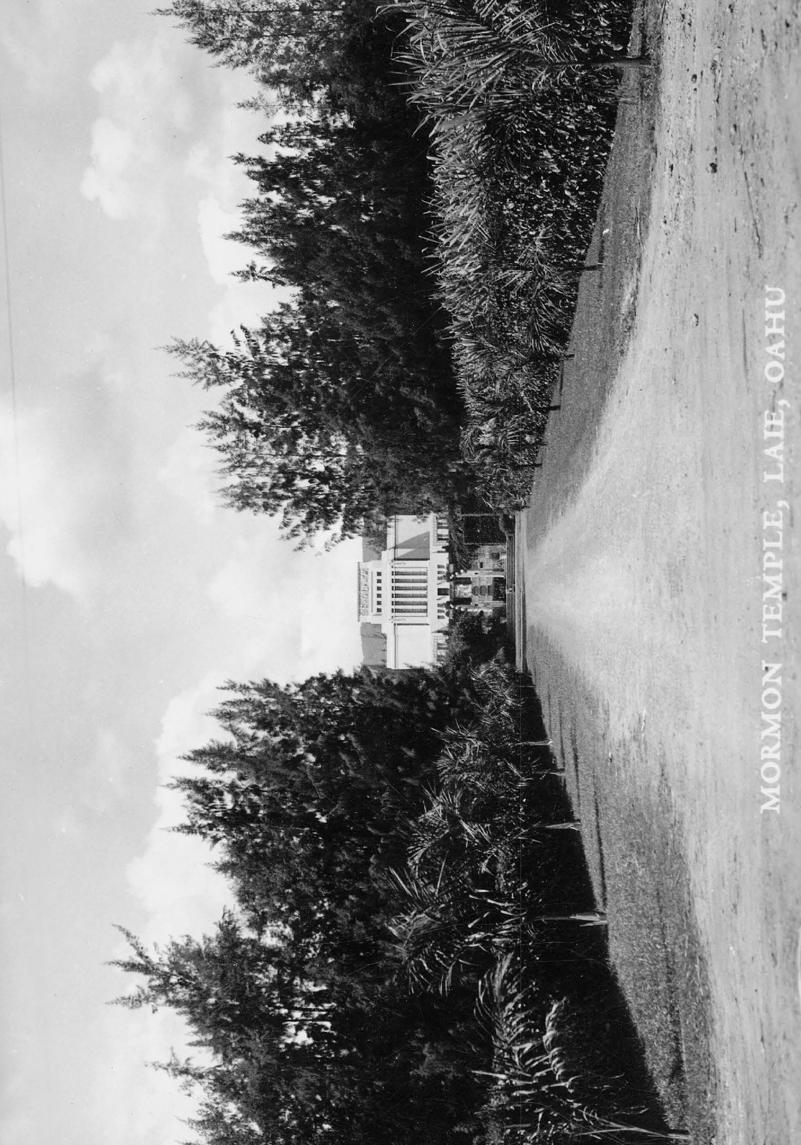Among other projects in the 1930s, the road leading to the temple was extended and beautified to help keep local members employed during years of economic depression. Courtesy of BYU–Hawaii Archives.