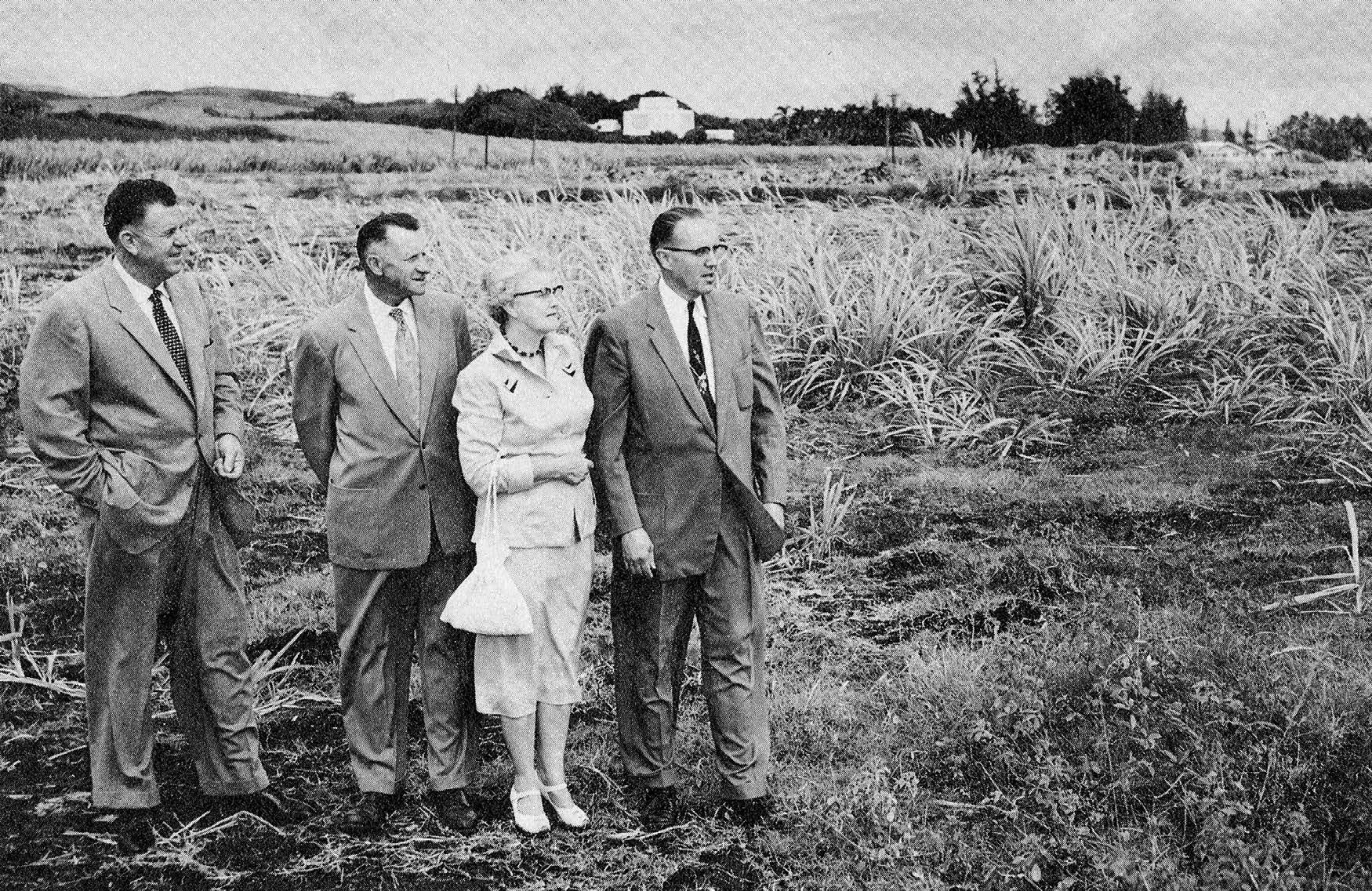 In December 1954 a committee unanimously chose to locate the college campus southeast of the temple (in background). From right: Joseph Wilson, superintendent of construction; George Lake, chief foreman, and wife Magdeline; and Reuben D. Law, college president. Courtesy of BYU–Hawaii Archives.