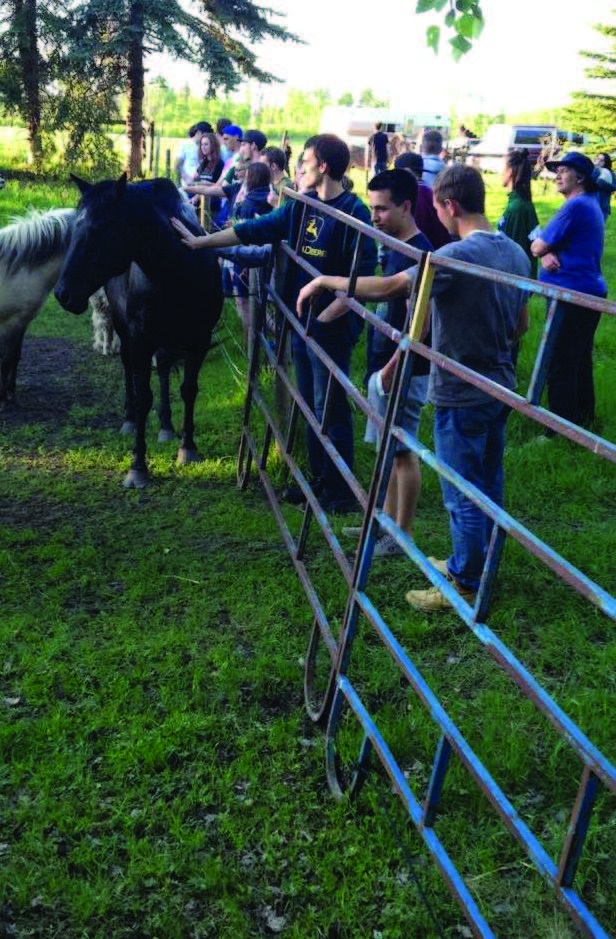 young single adult activity with animals