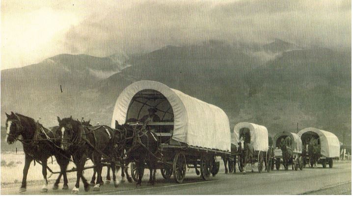 wagons